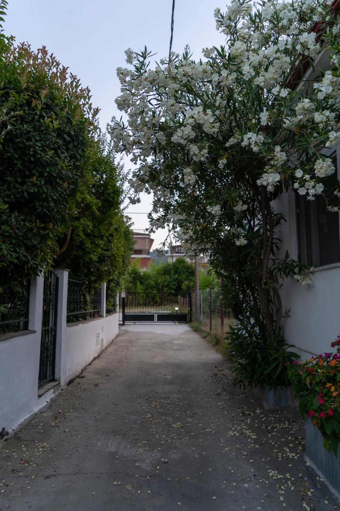 Terrazzo House Villa Platamonas Eksteriør bilde